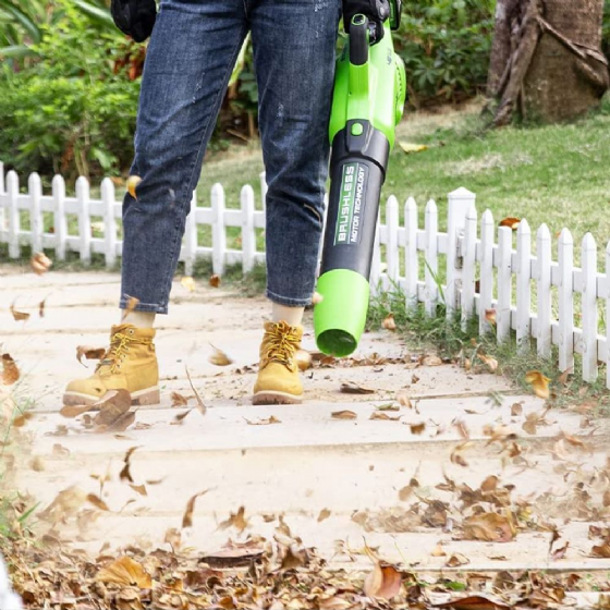 ���� ���� 48V (2X24V) Brushless (��� ����) ���� ����� Greenworks