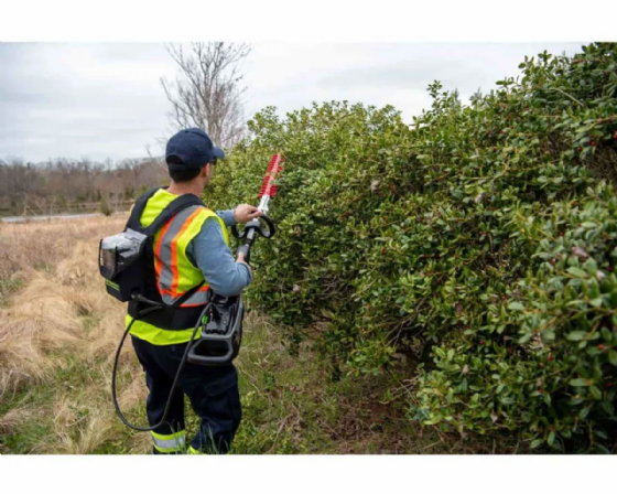 ����� ���� 80V PRO (��� ����) ���� ����� Greenworks