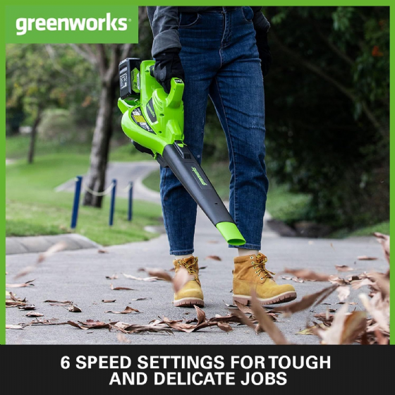 ����/���� ���� (2X24V) 48V BL + �� ����� 45 ���� (��� ����) ���� ����� Greenworks