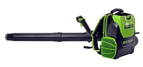 ���� �� 80V (��� ����) ���� ����� greenworks