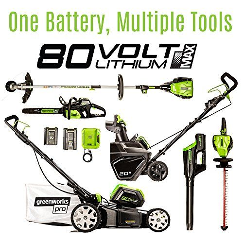 ���� �� 80V (��� ����) ���� ����� greenworks