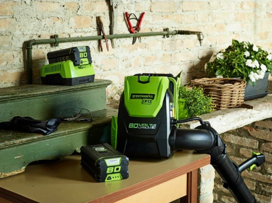 ���� �� 80V (��� ����) ���� ����� greenworks