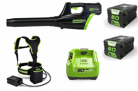 ���� 80V + ��� ������ 4.0AH + ���� + ���� ����� ������ greenworks 80V Pro