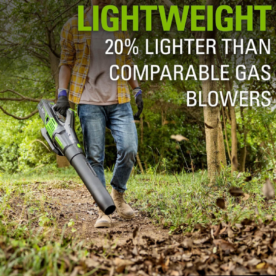 ���� ���� 80V Pro (��� ����) ���� ����� greenworks