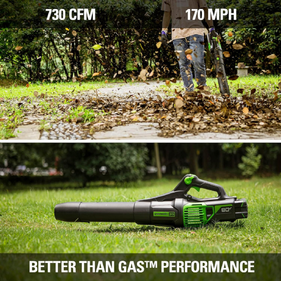 ���� ���� 80V Pro (��� ����) ���� ����� greenworks