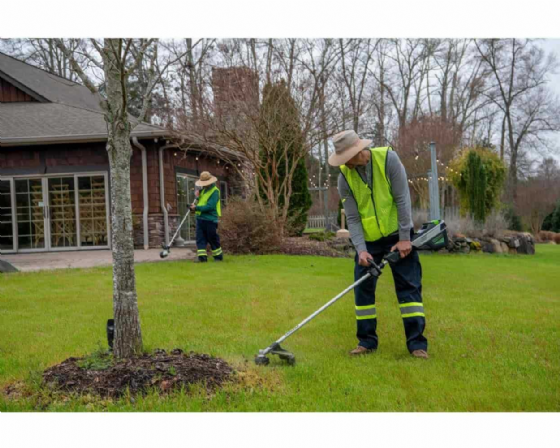����/���� ����� ���� �16 + ���� �������� 80V PRO (��� ����) ���� ����� greenworks