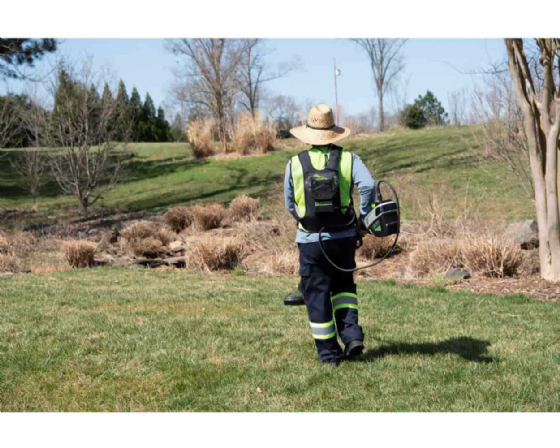 ����/���� ����� ���� �16 + ���� �������� 80V PRO (��� ����) ���� ����� greenworks
