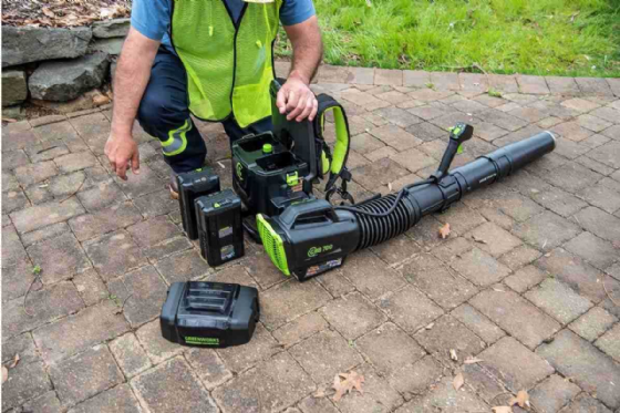 ���� ���� ���� 80V PRO Dual Port (��� ����) ���� ����� greenworks