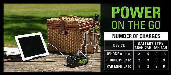 ���� ����� - ��� ������� GREENWORKS 24V - ��� 99751/9.9