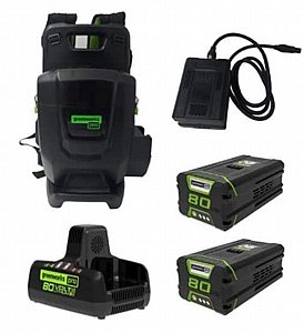 יחידת כח נישאת 80V PRO Dual Port + שתי סוללות 5.0Ah + מטען מהיר כפול Dual Port 80V Pro יחידת כח נישאת 80V PRO Dual Port + שתי סוללות 5.0Ah + מטען מהיר כפול Dual Port 80V Pro