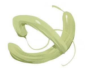 זרעי מלפפון פקוס דויה זרעי מלפפון פקוס דויה