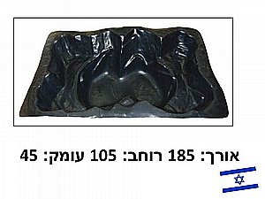 בריכת נוי 380 ליטר (אגנית) מוכנה בניאס בריכת נוי 380 ליטר (אגנית) מוכנה בניאס