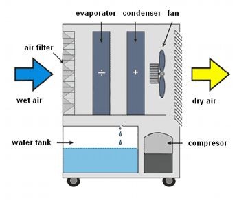 ���� ���� ������� MASTER DH-792 100 l/24h