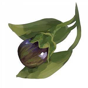 ���� ���� ������ ���� �����