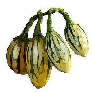 ���� ���� ���� ����