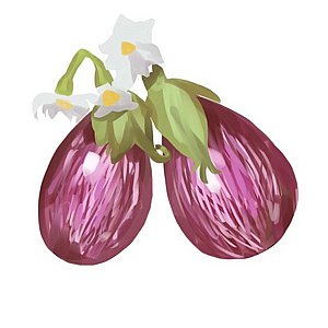 ���� ���� �����