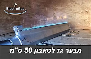���� ����� �� ������ ����� 50 �"�