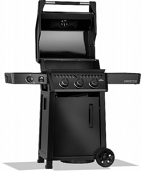 ���� �� �������� 3 ������ ���� �� ���� �� NAPOLEON FREESTYLE 365 IL BTU41,200
