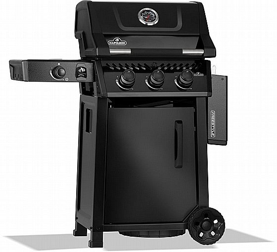 ���� �� �������� 3 ������ ���� �� ���� �� NAPOLEON FREESTYLE 365 IL BTU41,200