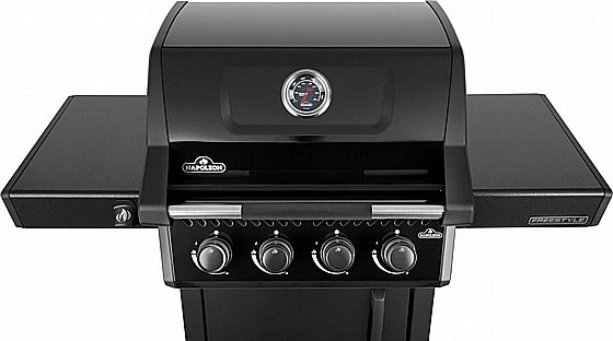 ���� �� �������� 4 ������ ���� NAPOLEON FREESTYLE 425 IL BTU46,600