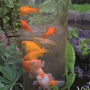 מגדל דגים דקורטיבי לבריכת נוי יובינק UBBINK FISHTOWER-100 מגדל דגים דקורטיבי לבריכת נוי יובינק UBBINK FISHTOWER-100