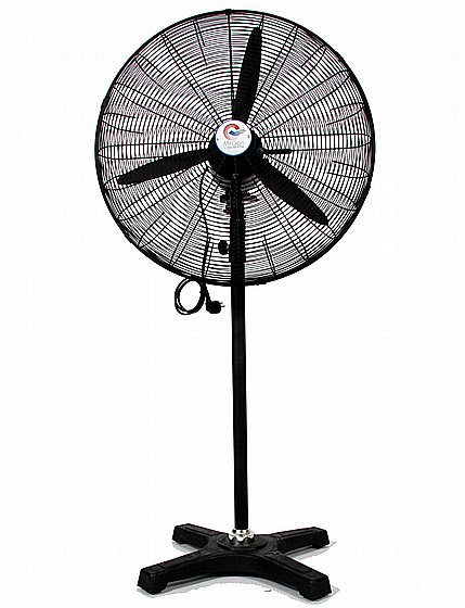 ������ ������� ���� 30 ���� ����