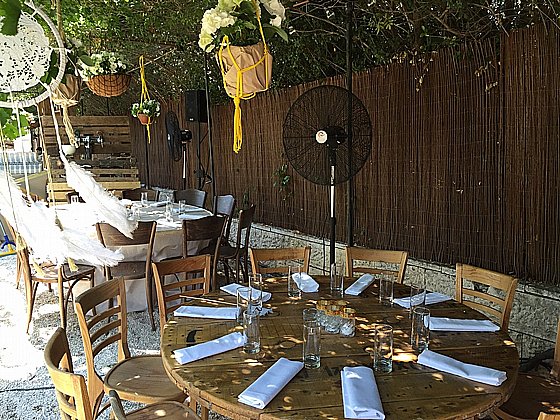 ������ ������� ���� 30 ���� ����