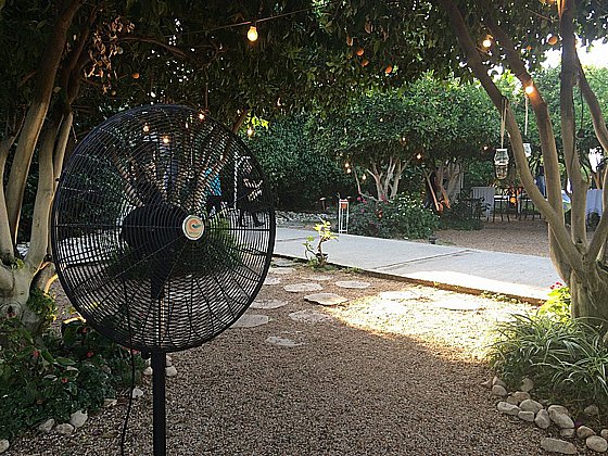 ������ ������� ���� 30 ���� ����