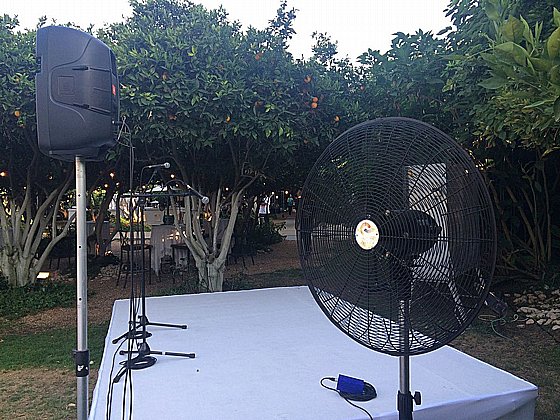 ������ ������� ���� 30 ���� ����