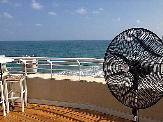 ������ ������� ���� 30 ���� ����