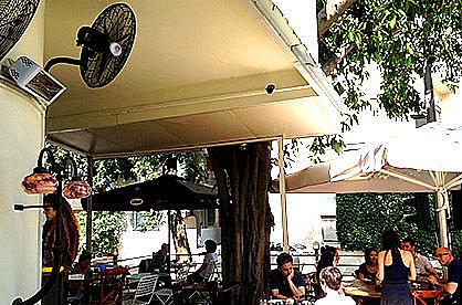 ������ ������� ���� 30 ���� ����