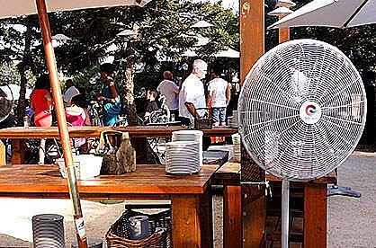 ������ ������� ���� 30 ���� ����