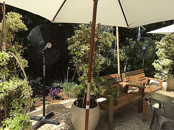 ������ ������� ���� 30 ���� ����