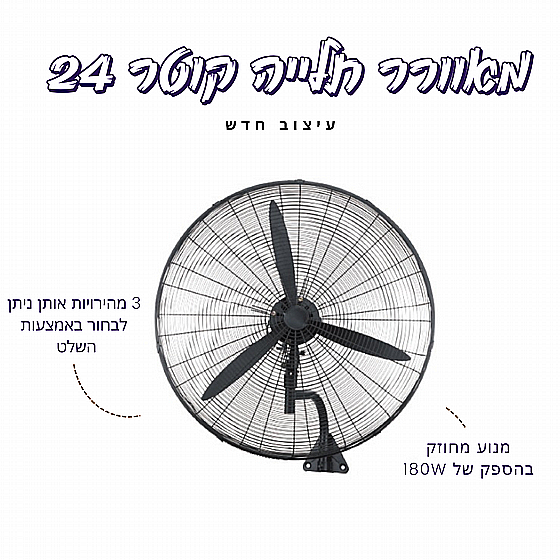 ������ ����� ���� 24 ����