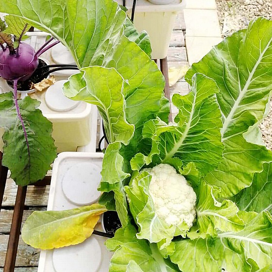 ����� ���������� ����� ����� ������� ������ ������� ������ ������ TOBATO5