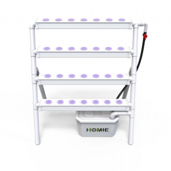 Homie 28 | ����� ���������� ����� ������ 28 ����� ����� NFT �� ���� �����