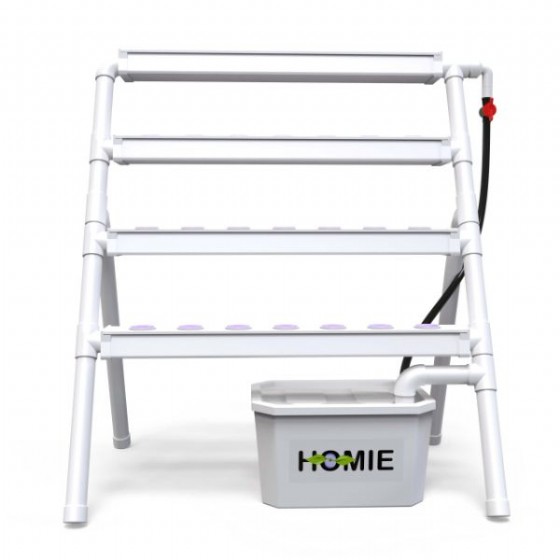 Homie 28 | ����� ���������� ����� ������ 28 ����� ����� NFT �� ���� �����