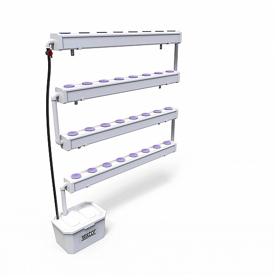 ����� ���������� NFT � 32 ����� ����� �� ��� Wally32XL