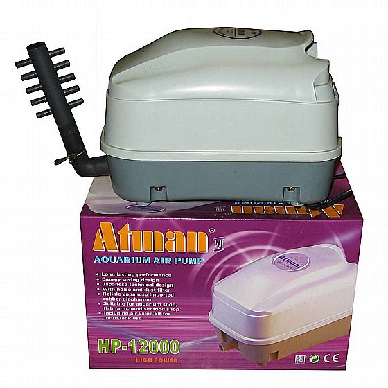 ���� ����� Atman HP 12000 � ������, ��� ����� ����������� ������� ���