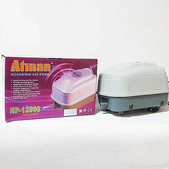 ���� ����� Atman HP 12000 � ������, ��� ����� ����������� ������� ���