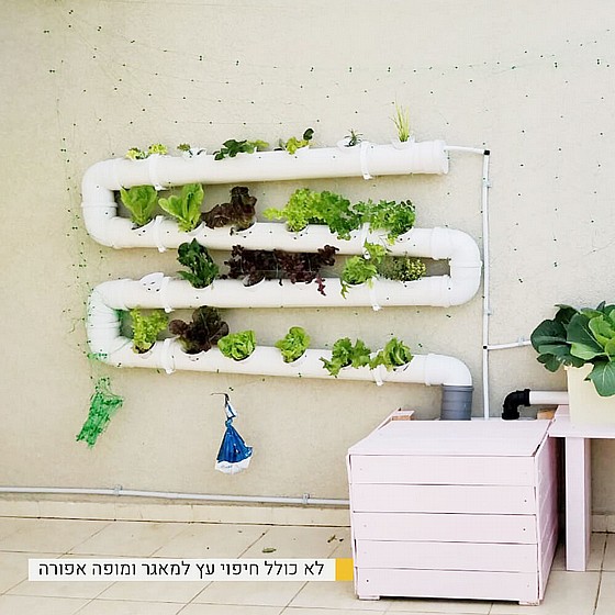 ���� ���������� DIY ������ ������ 24 �����
