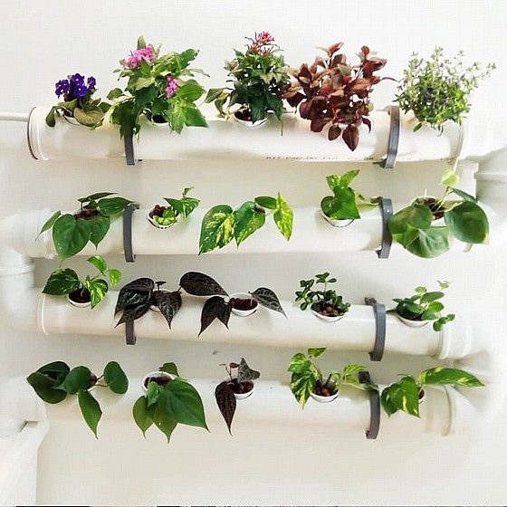 ���� ���������� DIY ������ ������ 24 �����