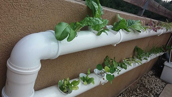 ���� ���������� DIY ������ ������ 22 ����� | 2.6 ��� 2 ����� | ������� ������ ���� 110 �"�