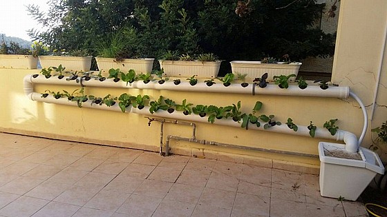 ���� ���������� DIY ������ ������ 38 ����� | 4 ��� 2 ����� | ������� ������ ���� 110 �"�