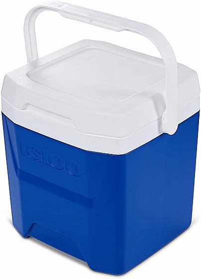 ������ ����� 11 ���� ���� IGLOO LAGUNA