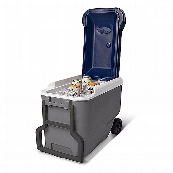������ ����� ����� 37 ���� ��� IGLOO LATITUDE MAXCOLD� 37 ROLLER 