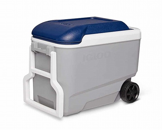 ������ ����� �� ������ 38 ���� COLD MAX