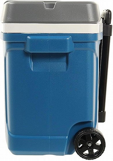 ������ ����� ����� �� ������ 28 ���� LATITUDE ROLLER ��� ���� ���� IGLOO 