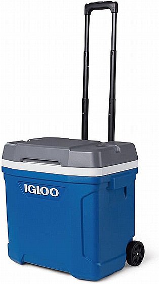 ������ ����� ����� �� ������ 28 ���� LATITUDE ROLLER ��� ���� ���� IGLOO 