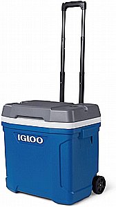 ������ ����� ����� �� ������ 28 ���� LATITUDE ROLLER ��� ���� ���� IGLOO 